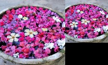 Palm Grove Beach Resort