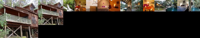 Barrington Wilderness Cedar Lodge Accommodation