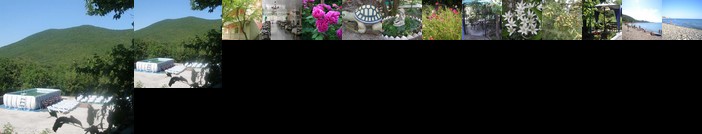 Usadba Fedorova Guesthouse