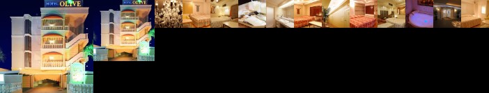 Hotel Fine Olive Sakai Adult Only