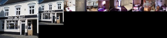 White Hart King's Lynn