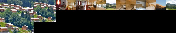 Alpendorf Dachstein West