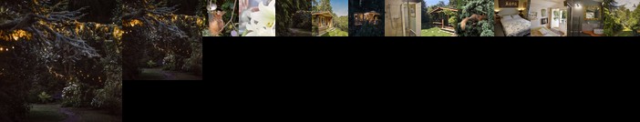 Ward Avenue Bed And Breakfast