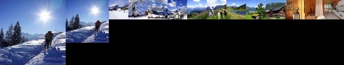 Ferienwohnungen Moosbrugger