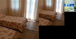 Club Sardunya And Petunya