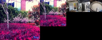 Dong Rong Resort Hotel