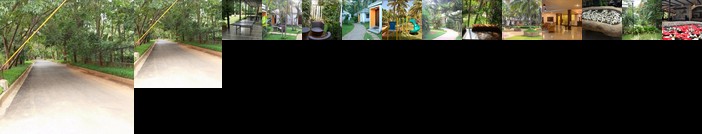 The Windflower Resort and Spa Prakruthi-Bangalore