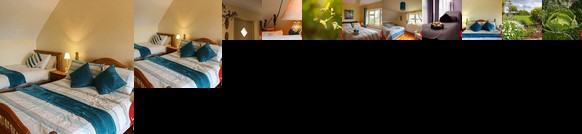 The Lakes Wellness B&B