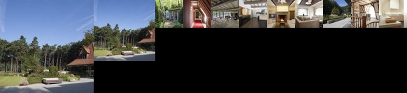 De Libellen van Waaroost