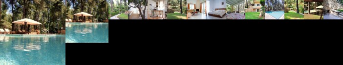 Stamatiadis Sani Cape Villas