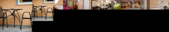 Alt Baden Apartement