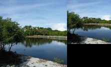 Morel's Private Island Resort