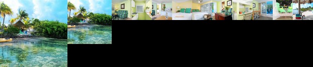 Dolphin Marina & Cottages