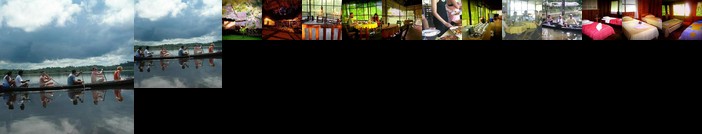 Amazon Eco Tours & Lodge