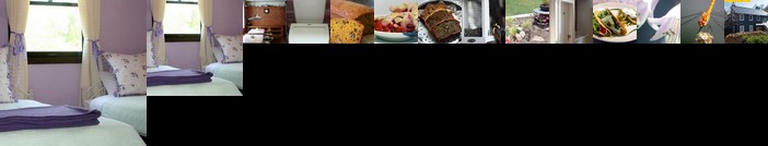 Julian's English Homestay and Pension