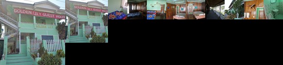 Golden Lily Guest House