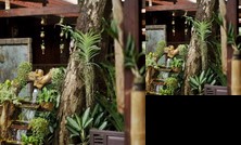 Ruanmai Resort and Spa