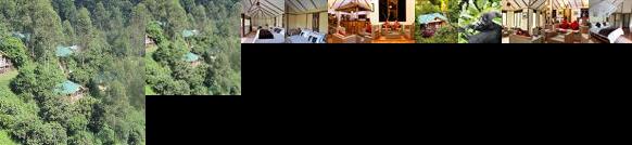 Gorilla Safari Lodge