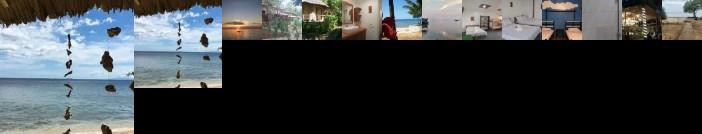 Tori's Backpacker's Paradise