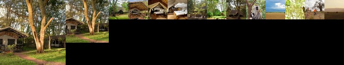 Migunga Tented Camp - Lake Manyara