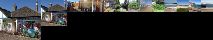 The Beech Tree Guest House