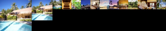 Pulchra - Philippines