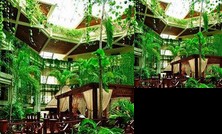 Beautiful Beachfront Villa