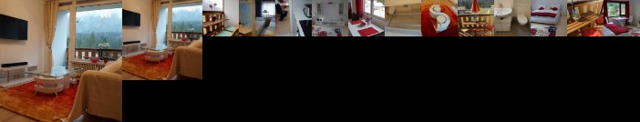 W & S Executive Apartments - Obertraun