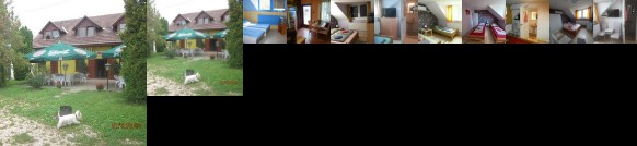 Fekete Macska Panzio Tata