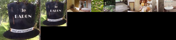 Bed and Breakfast De Baron