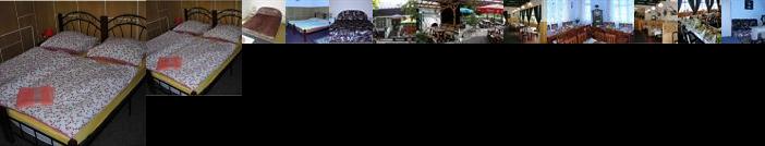 Restaurace a pension Prvni Mlyn Chomutov