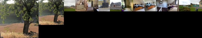 The Curragh B&B Country House Accommodation