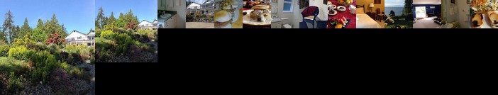 4 Beaches Bed & Breakfast