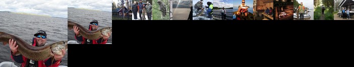 KoliCarelia Cottages