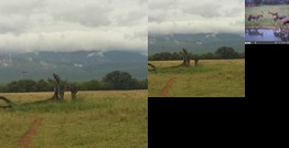 Boschfontein Guest Farm