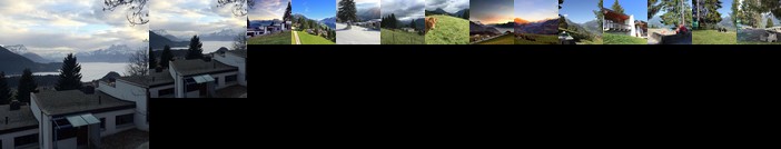 Leysin Lodge