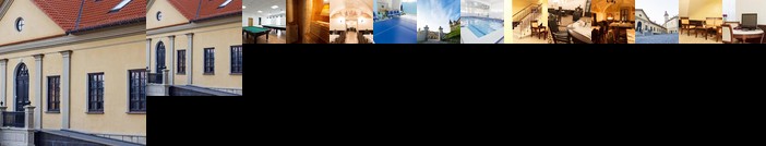 Palace Hotel Nesvizh