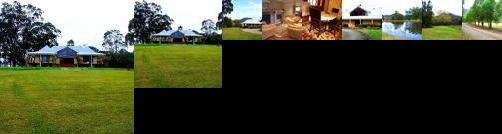 Sandy Creek Vineyard