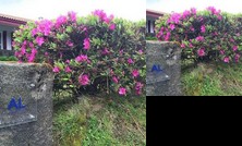 Lake Cottage Azores