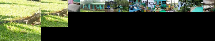 All Rankins Eco-Lodge