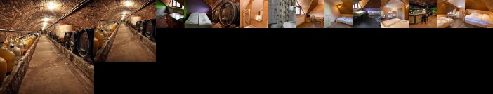 Penzion Satovske lipy