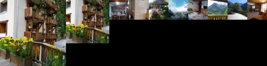 Chalet les Alpes Venosc