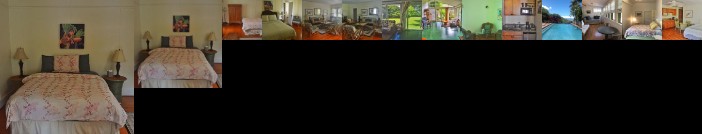 Banyan Tree Bed and Breakfast Retreat