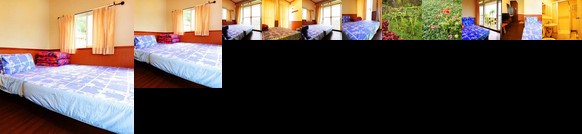 Neiwan Old Street Hill View House Homestay