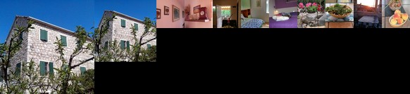 Apartman Ruza vjetrova