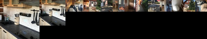 Modern chalet Na Zlatniku