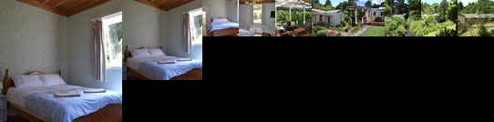 Wild Forest Estate Hideaway