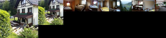 Waldschanke Schwanenwasen