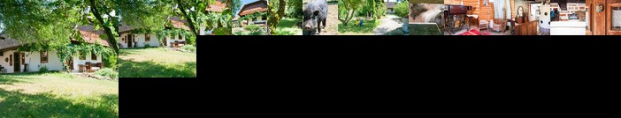 Fecskefeszek Vendeghaz Oriszentpeter