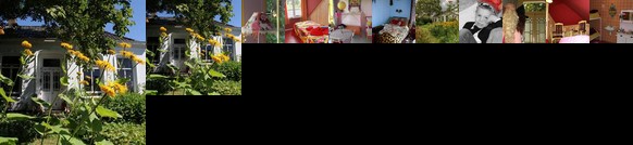 Koningin van Pieterburen